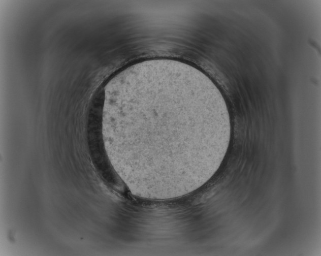 X0000096950481200803071031