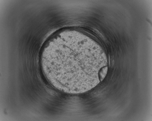 X0000096950483200803071031