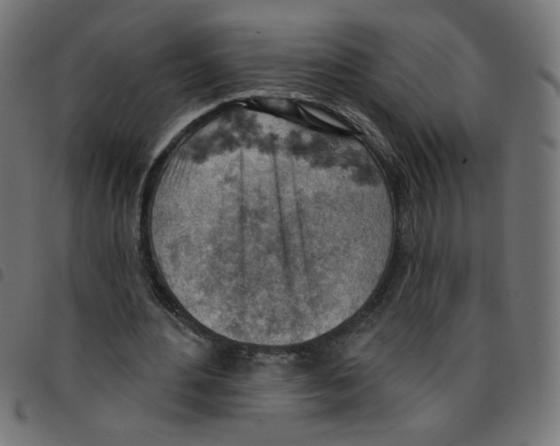 X0000096950484200803071031
