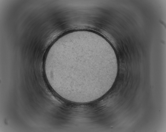 X0000096950485200803071031