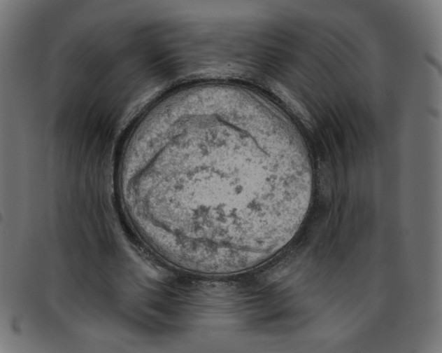 X0000096950486200803071031