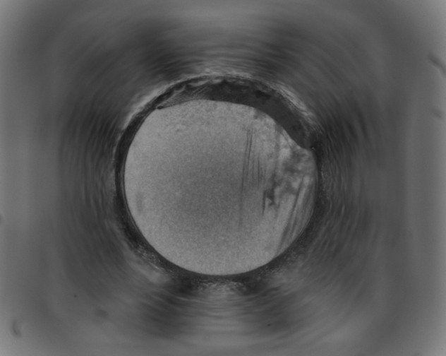 X0000096950488200803071031