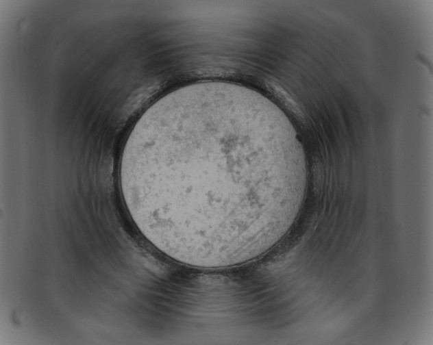 X0000096950490200803071031