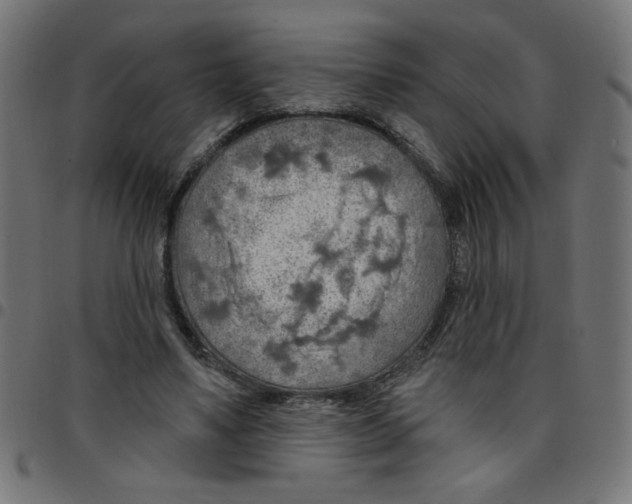 X0000096950491200803071031