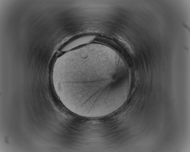 X0000096950492200803071031