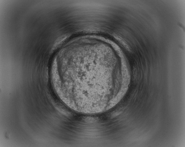 X0000096950494200803071031