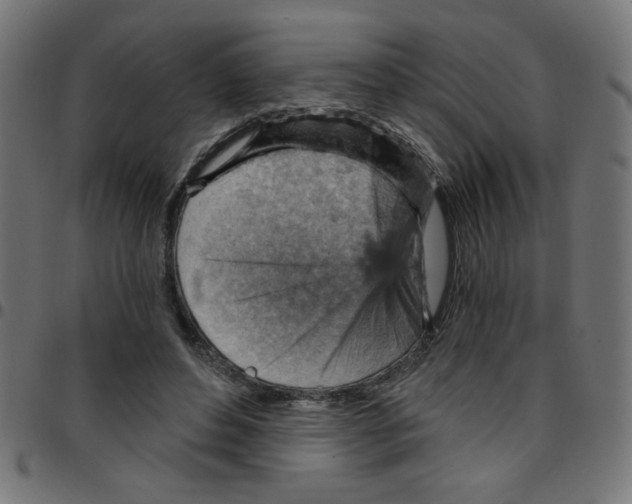 X0000096950496200803071031