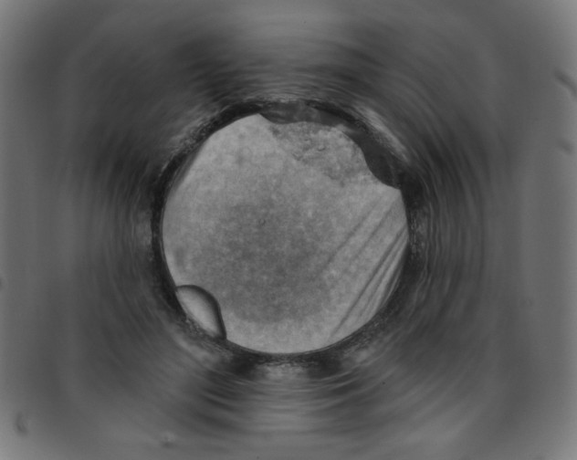 X0000096950500200803071031