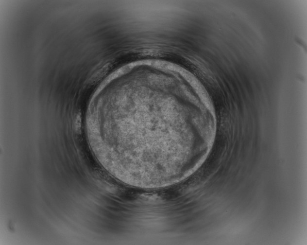 X0000096950502200803071031