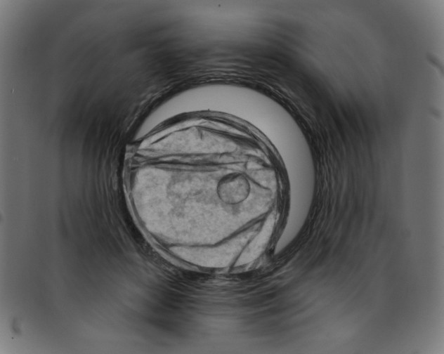 X0000096950504200803071031
