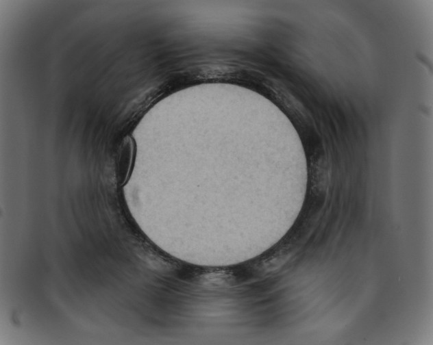 X0000096950505200803071031