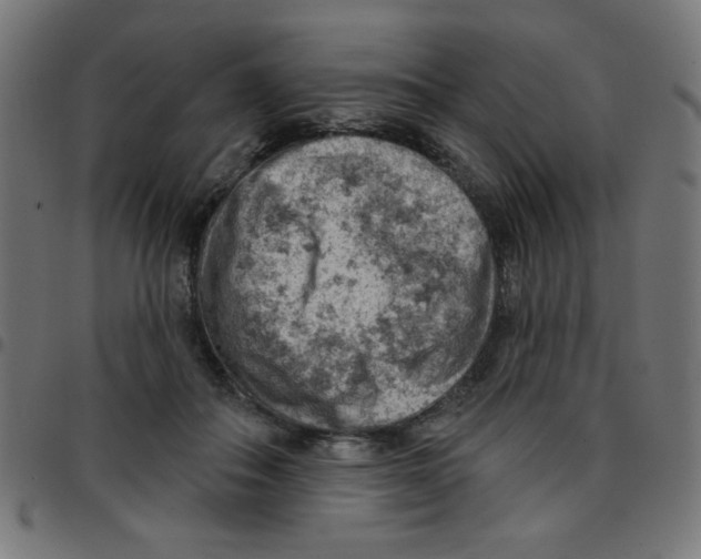 X0000096950506200803071031