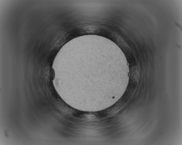 X0000096950509200803071031