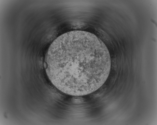 X0000096950510200803071031