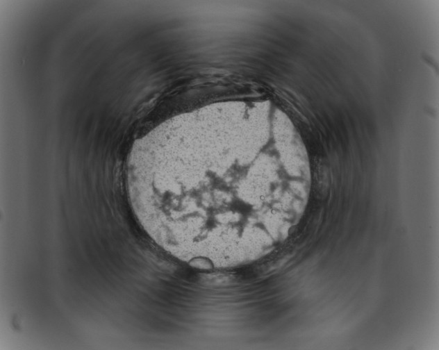 X0000096950511200803071031