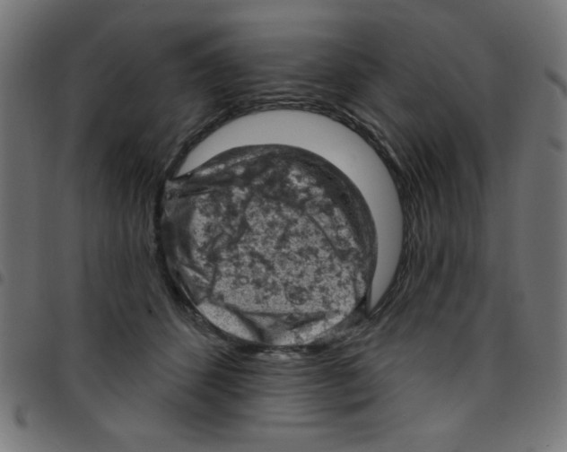 X0000096950512200803071031