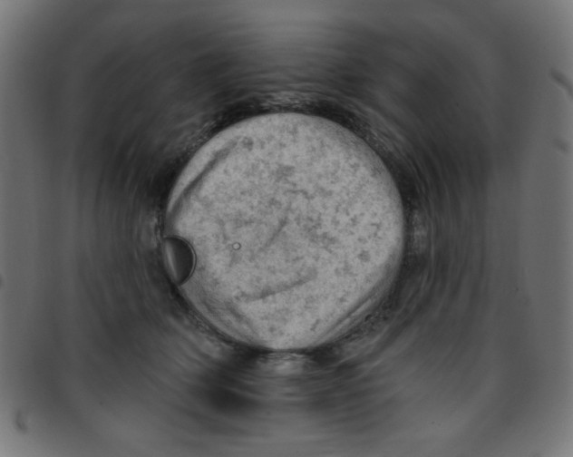 X0000096950514200803071031