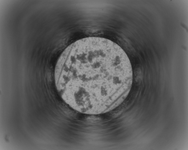 X0000096950515200803071031