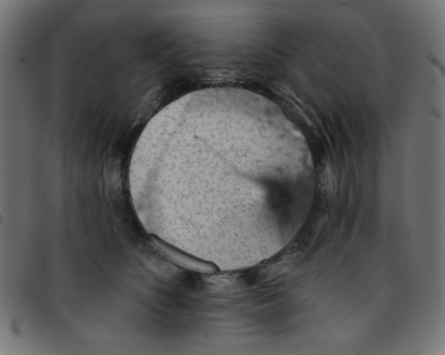 X0000096950516200803071031