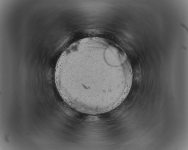X0000096950519200803071031