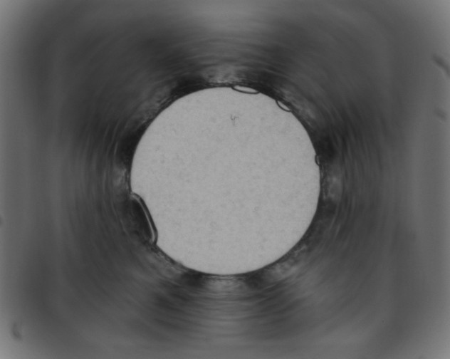 X0000096950521200803071031