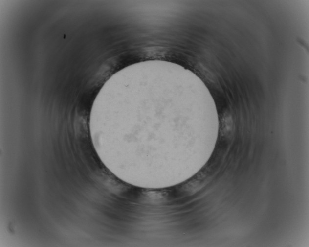 X0000096950522200803071031