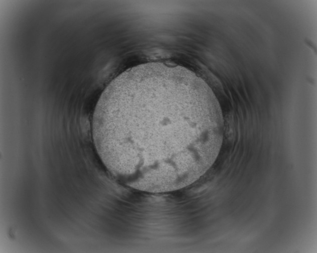X0000096950523200803071031