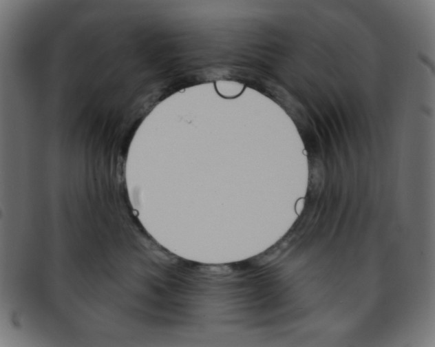 X0000096950525200803071031