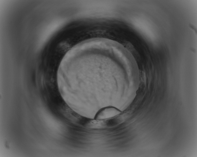 X0000096950526200803071031