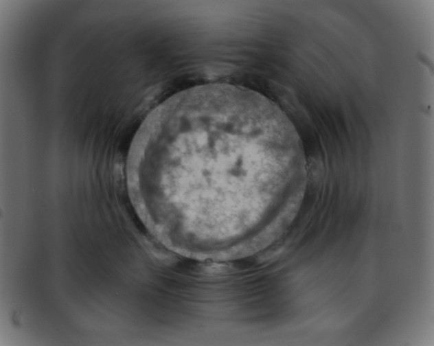 X0000096950527200803071031