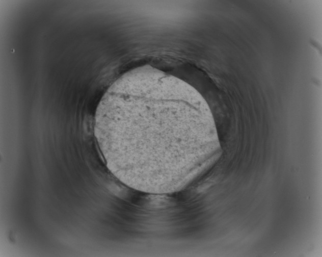 X0000096950528200803071031