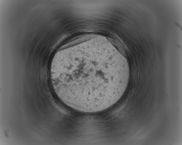 X0000096950530200803071030