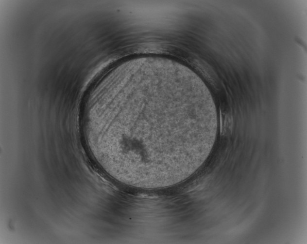 X0000096950531200803071030