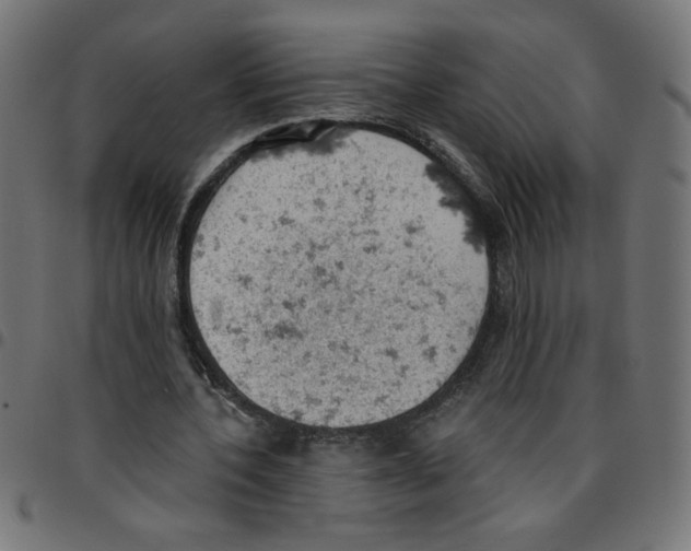 X0000096950532200803071030