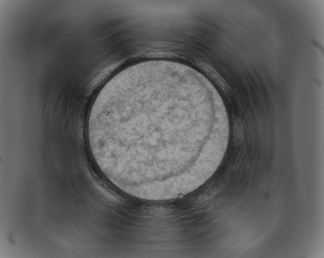 X0000096950533200803071030