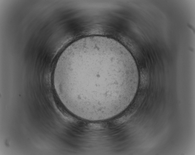 X0000096950534200803071030