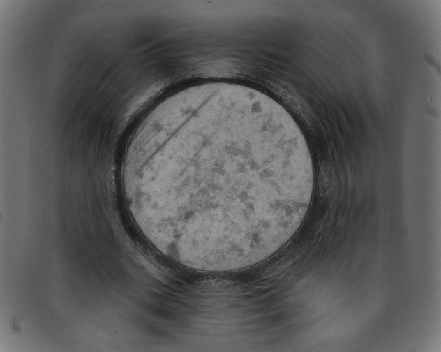 X0000096950535200803071030