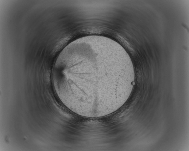 X0000096950537200803071030