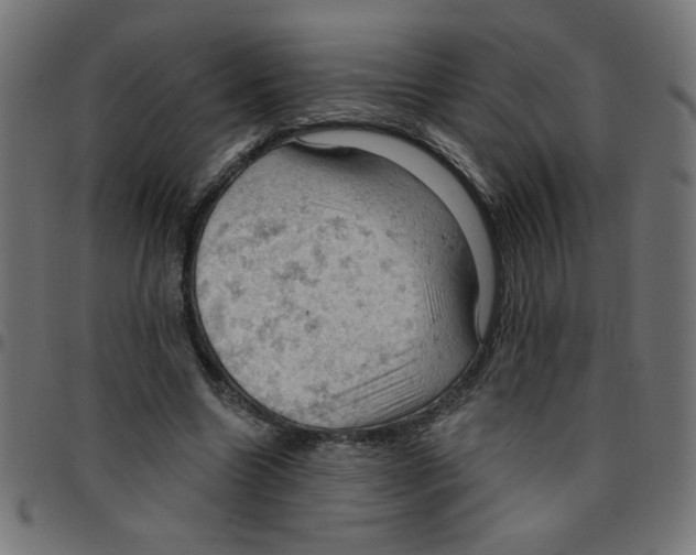X0000096950538200803071030
