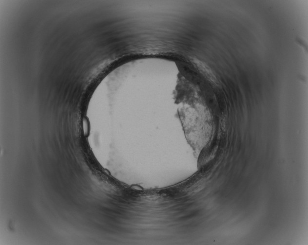X0000096950540200803071030