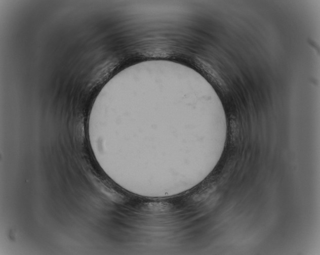 X0000096950541200803071030