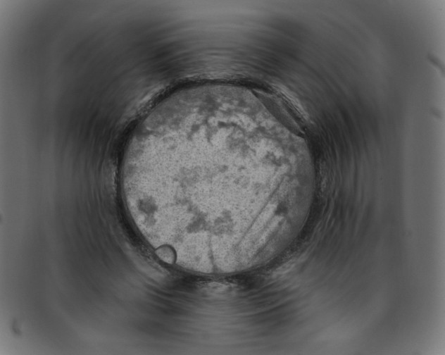 X0000096950542200803071030