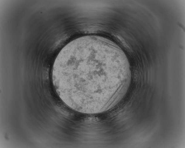 X0000096950543200803071030