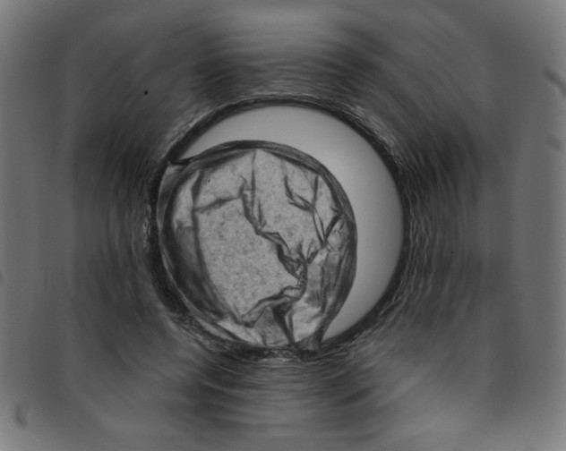 X0000096950544200803071030