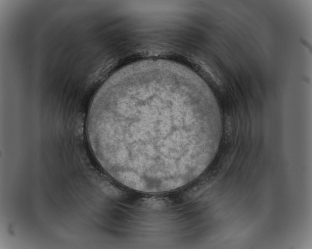 X0000096950545200803071030