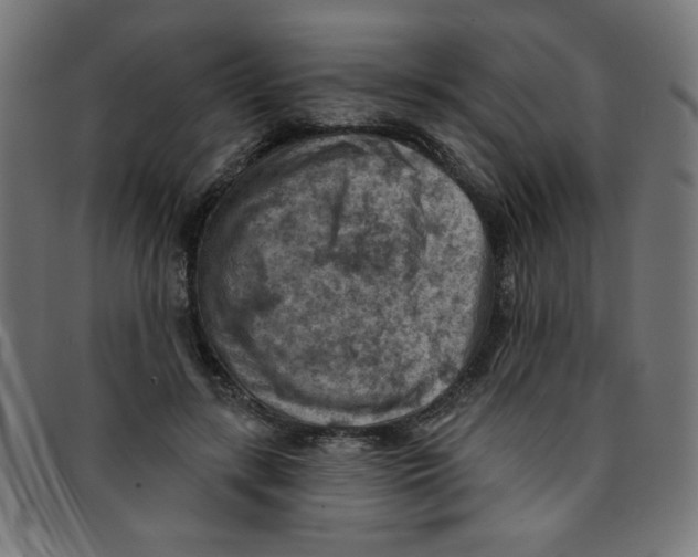 X0000096950547200803071030