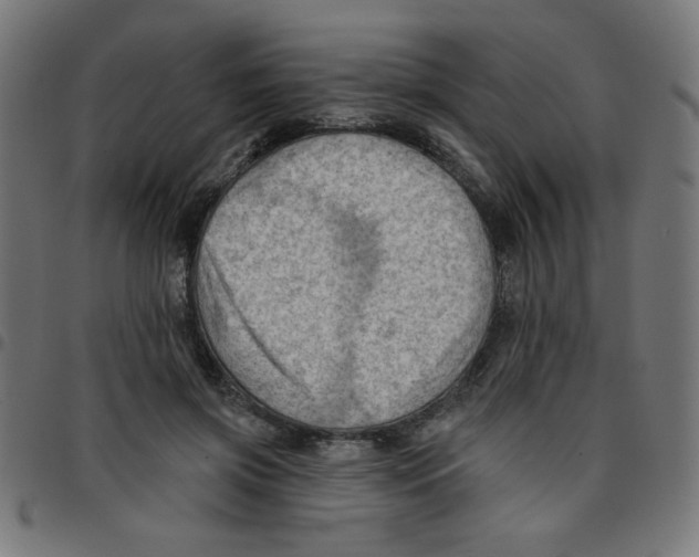X0000096950549200803071030