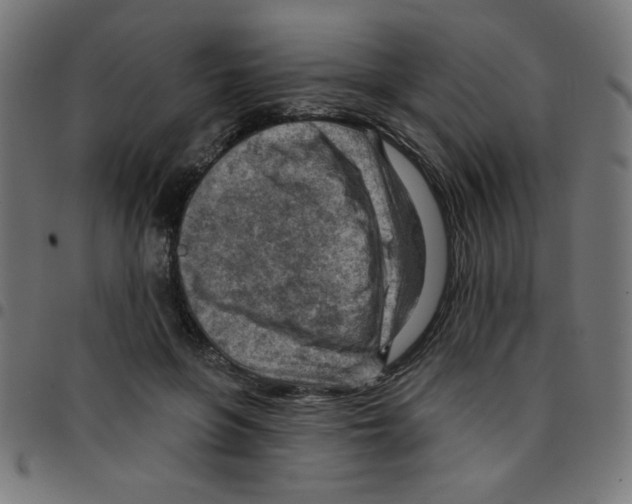 X0000096950551200803071030