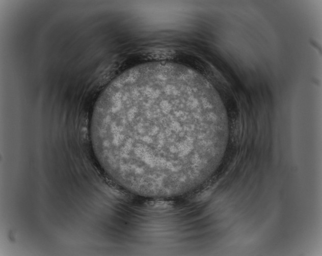 X0000096950553200803071030