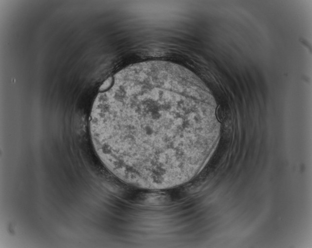 X0000096950555200803071030